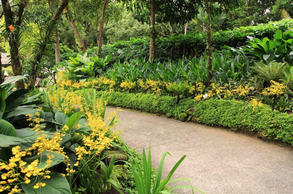 Trail with orchids in the National Orchid Garden in Botanical Gardens,Singapore.