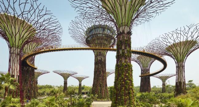 The Supertree Grove, Gardens by the Bay, Singapore; 
