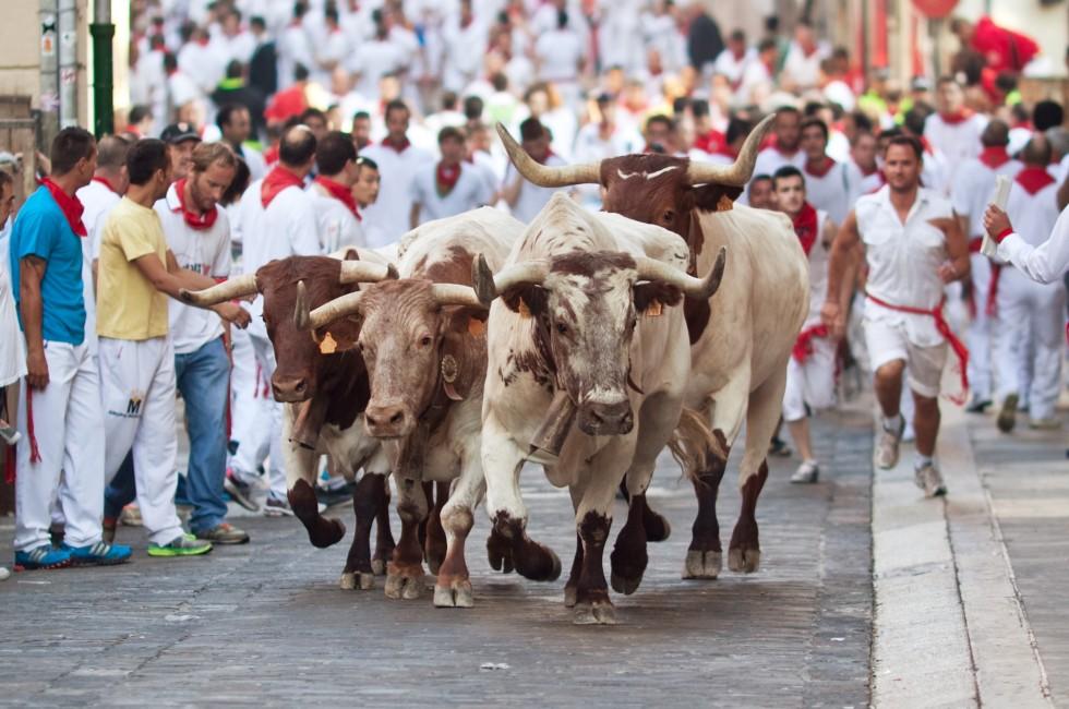 PAMPLONA, SPAIN-JULY 9: People run from bulls on street during San Fermin festival in Pamplona, Spain on July 9, 2013..