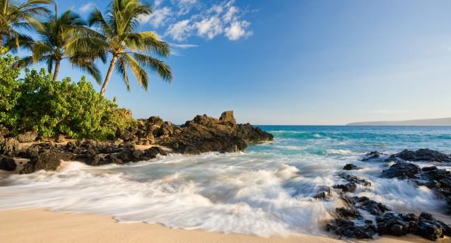 Tropical beach in makena cove with palm tree and waves in south maui, hawaii.