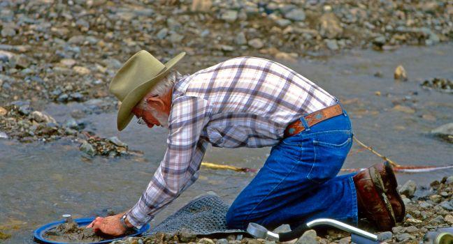 CHICKEN CREEK, ALASKA, USA - JULY 24: Unknown man washing gold in the creek in Chicken Creek on July 24, 1997 in Alaska, USA. 