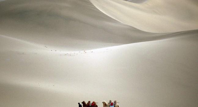 Camel trekking through the  Southern Desert, Dunhuang, China