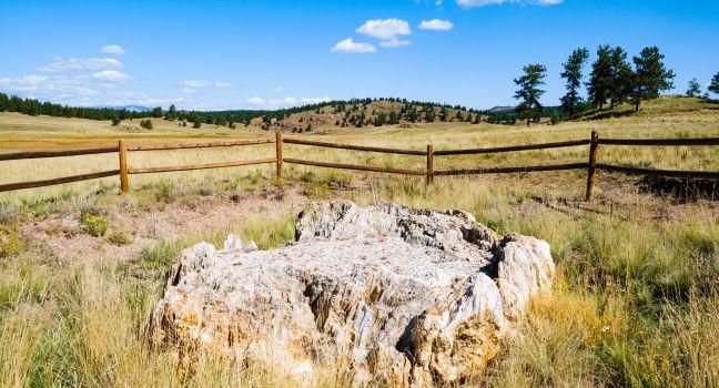 Florissant Fossil Beds National Monument, Colorado, USA