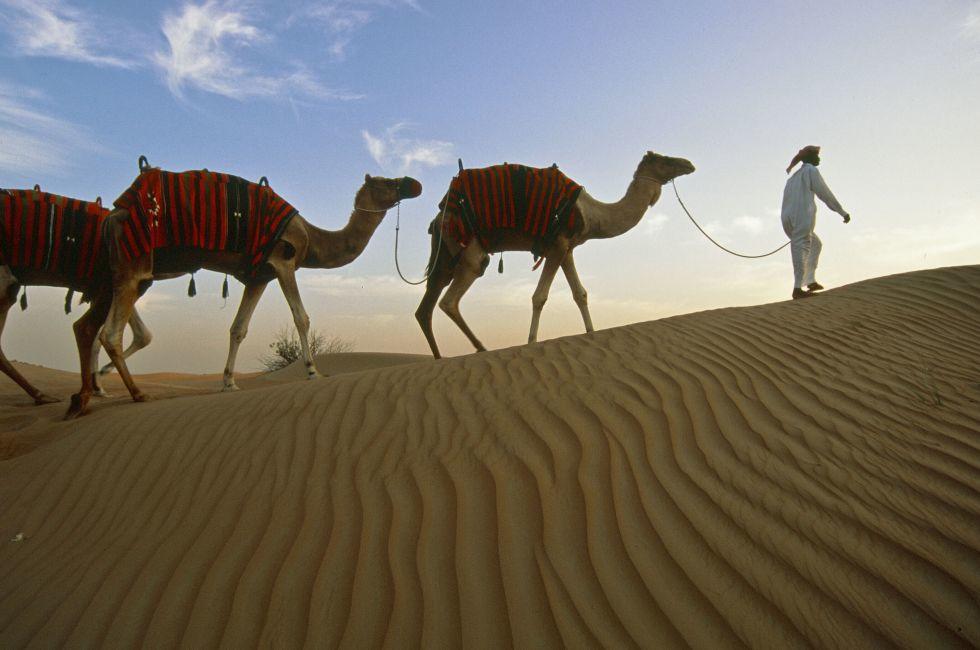 Camel Excursion into Empty Quarter, Lahbab, Dubai, United Arab Emirates