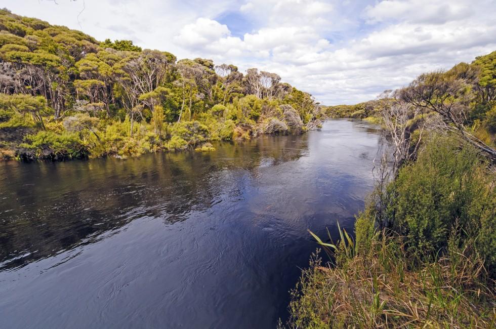 The Freshwater River on Stewart Island in New Zealand; 