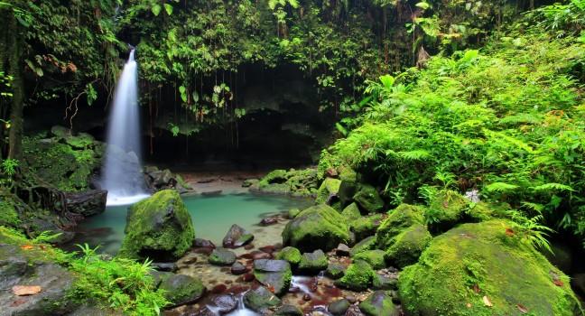 Emerald pool waterfall in Dominica.