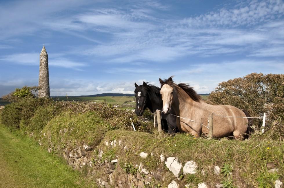 two Irish horses and ancient round tower in the beautiful Ardmore countryside of county Waterford Ireland; 