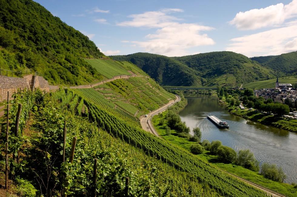 View on the river Mosel - Mosel, Germany
