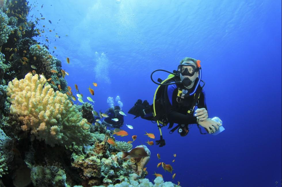 Scuba Diver and Coral Reef with Tropical Fish in the Red Sea.