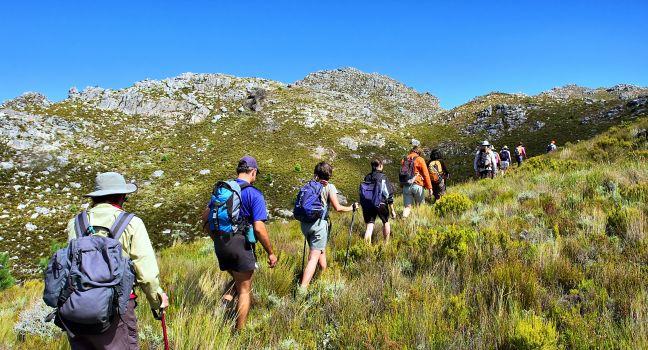 File of hikers walks in mountains. Shot on Pieke, Jonkershoek Nature Reserve, near Stellenbosch, Western Cape, South Africa.