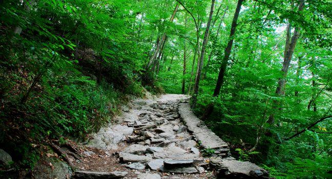 Path, Valley Green, Wissahickon Park, Philadelphia, Pennsylvania, USA 
