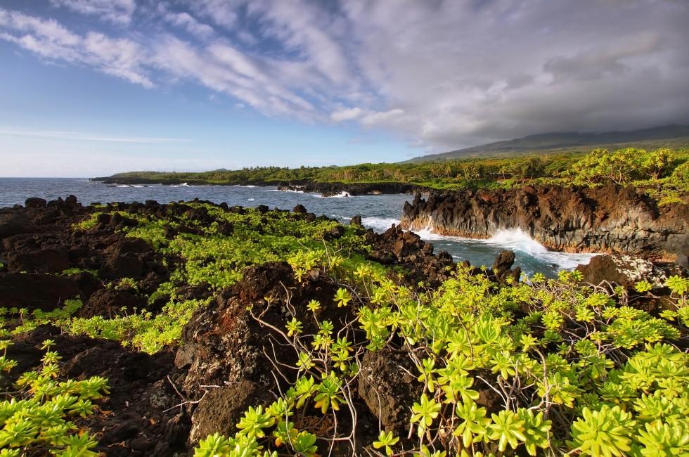 View of the coast and lush vegetation in Waianapanapa State park, Maui island, Hawaii, USA. 