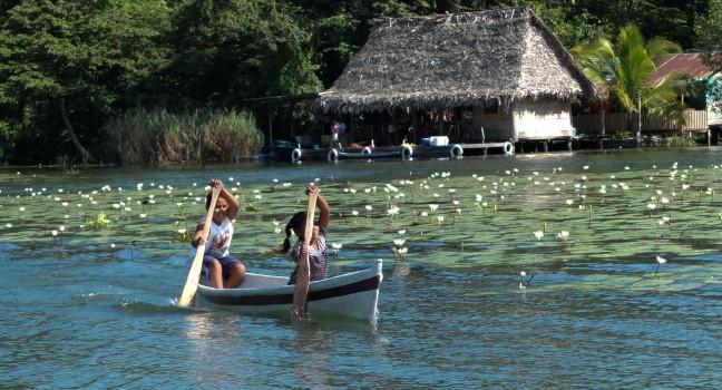 RIO DULCE, GUATEMALA -  DECEMBER 6: Children are rowing in a small boat near white lilies,at the arrival of tourists to sell them home made presents on December 6, 2013, in Rio Dulce, Guatemala.