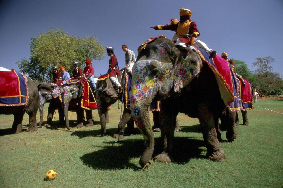 Swinging the mallet at an elephant polo match, Jaipur Rajasthan, India