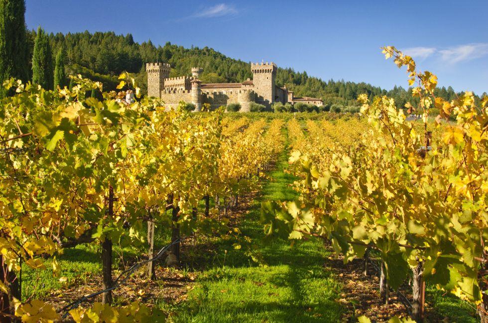 Castello di Amorosa, Napa valley vineyard; 