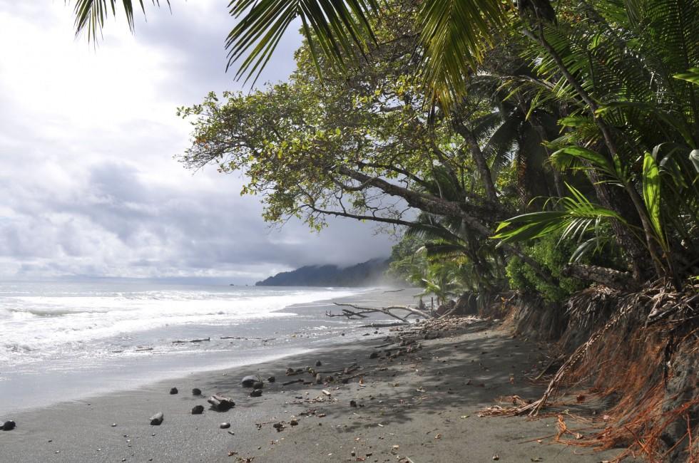 Tropical beach in Costa Rica.