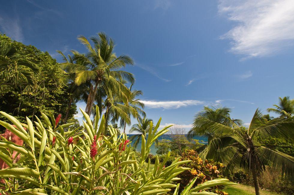 Tropical vista in Montezuma, Costa Rica