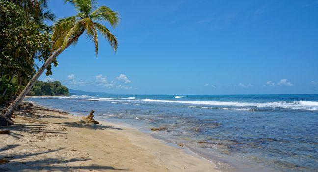 Pristine Caribbean beach in Costa Rica, playa Chiquita, Puerto Viejo de Talamanca