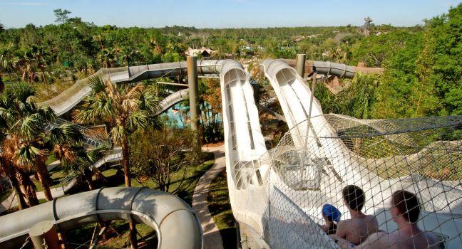 GUSHING GOOD TIMES!: Water park thrill seekers are in for a surprise as they defy gravity on Crush &#x2018;n&#x2019; Gusher, a n&#x201d;water coaster&#x201d; ride at Disney&#x2019;s Typhoon Lagoon at Walt Disney World Resort in Lake Buena Vista, Fla. Three