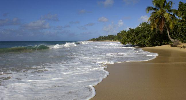 Beach, Les Salines, Sainte Anne, Martinique, France