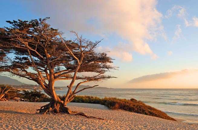 Carmel-by-the-Sea, California