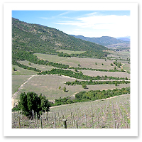 080304_adam_taplin_montes_chileF.jpg