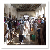 Alexis-Just-Back-Tanzania-Stone-Town-Fish-Market.jpg