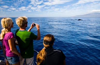 Maui-whale-watch.jpg