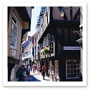 060426_york_shambels.jpg