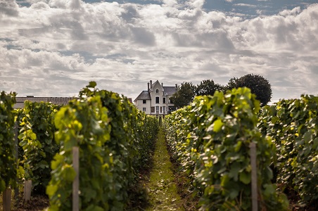 champagne-vines-house.jpg
