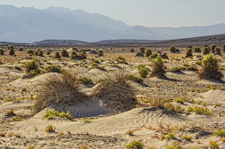 death-valley-winter.jpg