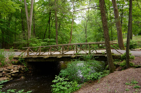 sleepy-hollow-cemetery.jpg