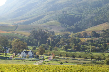 stellenbosch-south-africa-wine-country.jpg