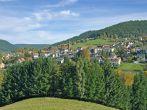 Village of Baiersbronn near Freudenstadt in Black Forest,Germany