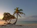 Sunrise on a Marathon Island, Florida Keys, USA.