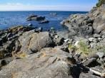 rocky seashore in East Sooke regional park, Vancouver Island, British Columbia, Canada; Shutterstock ID 214898230; Project/Title: Fodor's Top 100; Downloader: Fodor's Travel