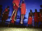 Rhythmic chanting provides a syncopated beat for the blood drinking Maasai whose traditional dance is this observational opportunity for getting a leg up on approuching wildlife.  Maasai Mara, Kenya