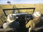 Safari, Masai Mara, Kenya, Africa