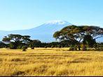 Snow on top of Mount Kilimanjaro in Amboseli 