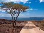 The road to Lake Turkana, Kenya; 