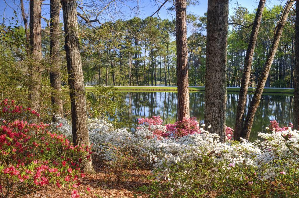 Idyllic setting of tranquil lake at Callaway Gardens, GA, framed by azaleas in the foreground; typifies Spring.; Shutterstock ID 109944521; Project/Title: AARP; Downloader: Melanie Marin
