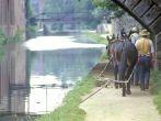 WASHINGTON DC - CIRCA 1990'S: Horses tugging a barge at C &amp; O Canal National Historical Park, Georgetown, Washington, DC.