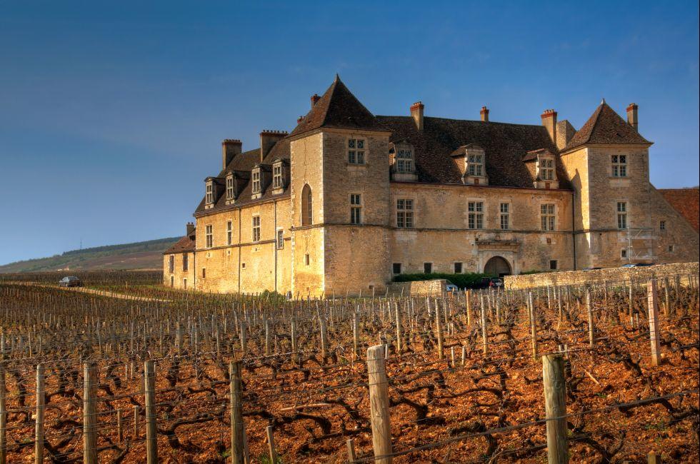 The vineyards of Clos de Vougeot, Burgundy, France