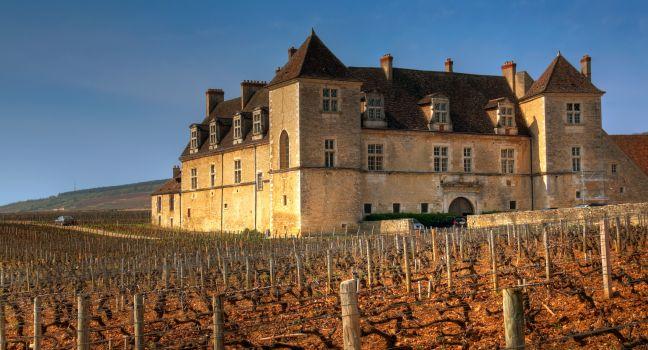 The vineyards of Clos de Vougeot, Burgundy, France