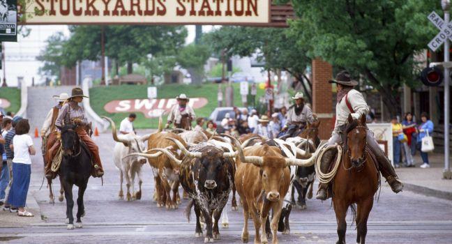 Fort Worth Stockyards, Cattle Drive, Fort Worth Stockyards, TX longhorns Fort Worth, Texas