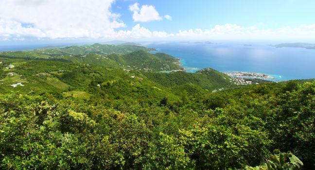 Sage Mountain National Park, Tortola, British Virgin Islands, Caribbean
