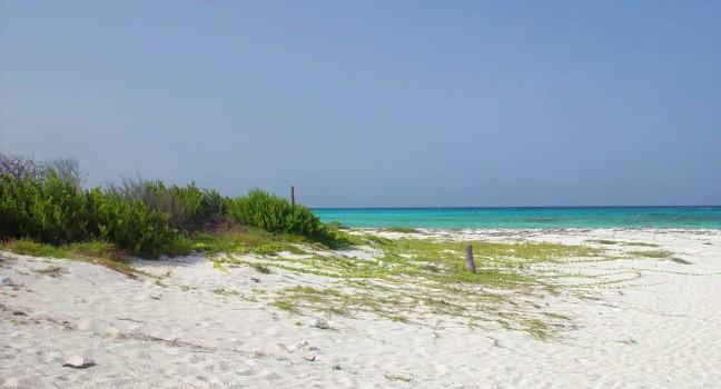 Beach, Point of Sand, Cayman Islands, Caribbean