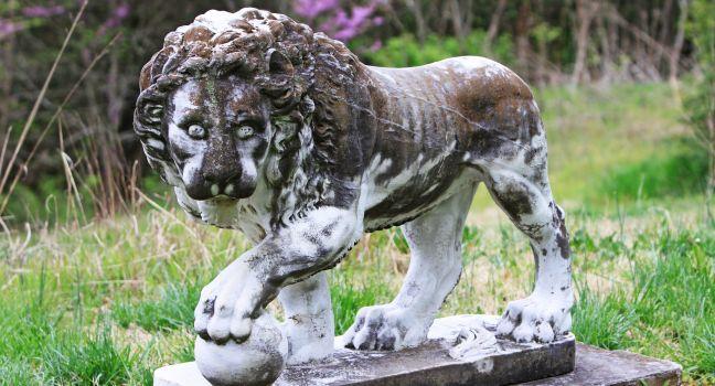 Stone Lion on the grounds of Cheekwood Mansion , Nashville Tennessee