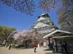 OSAKA-APR 13: Main entrance with cherry blossom of Osaka castle on April 13, 2011 in Osaka, Japan. This castle, founded in 1583, is covered by secondary citadels, gates, turrets, stone walls and moat.