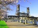 Cherry Blossoms Along Willamette River.